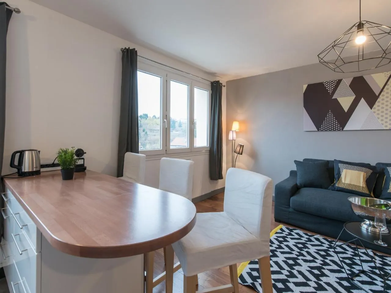 Le Cocon Stephanois Saint-Etienne  Apartment